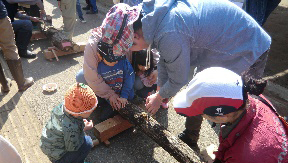 Forestry Activities at Kashiwazaki Yumenomori Park