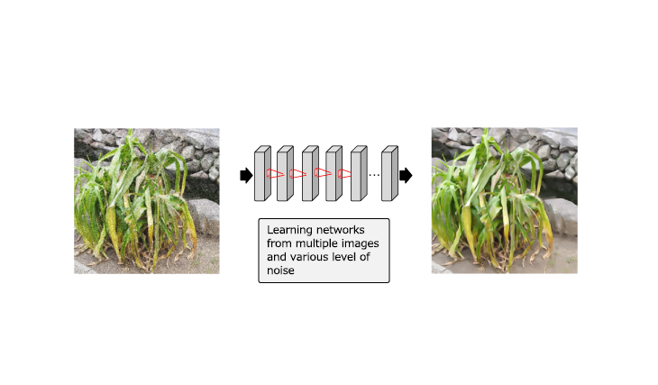 Deep learning image quality improvement Image