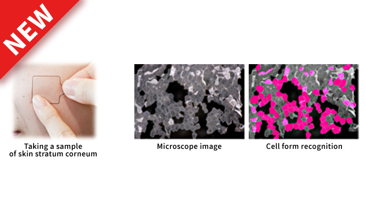 Estimate biomarker levels (Key protein to evaluate skin characteristics) in stratum corneum and cell form using deep learning