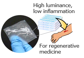 [Image] 3D-oriented collagen nanofiber sheets