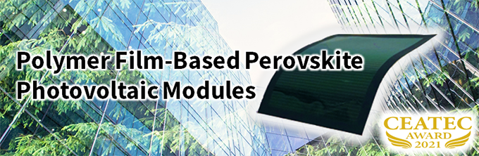 Polymer Film-based Perovskite Photovoltaic Modules