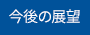 今後の展望