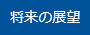 将来の展望