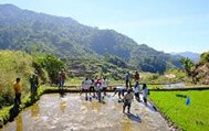 棚田の再生　Rehabilitation of rice terraces