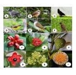 動植物種のモニタリング　Assessment of flora and fauna species