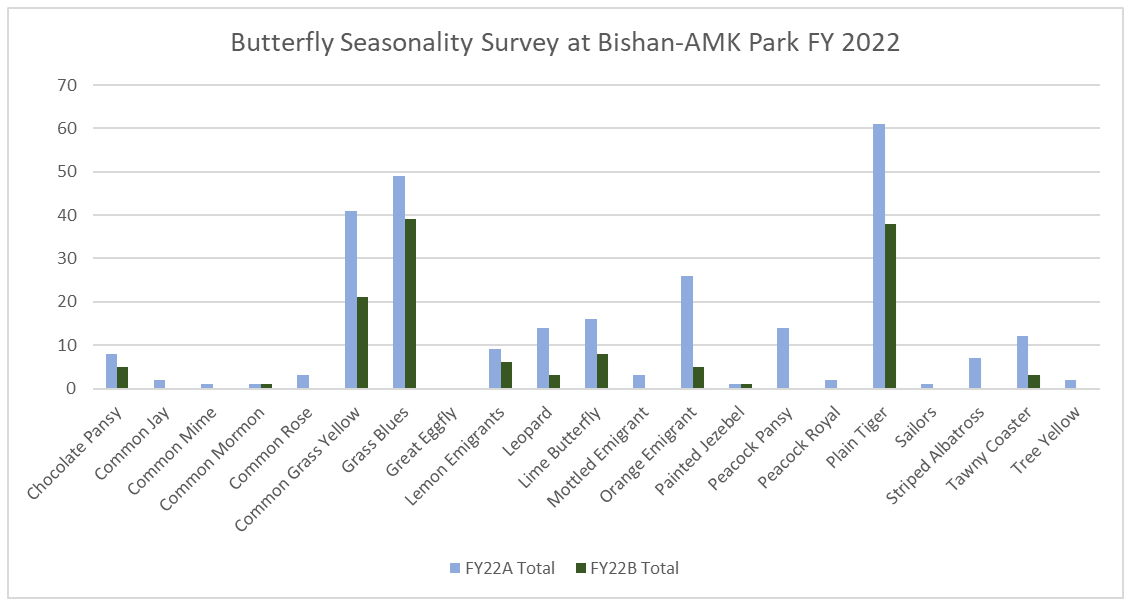 蝶の観察活動　Butterfly seasonality survey