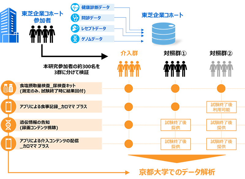 図1　共同研究の流れ