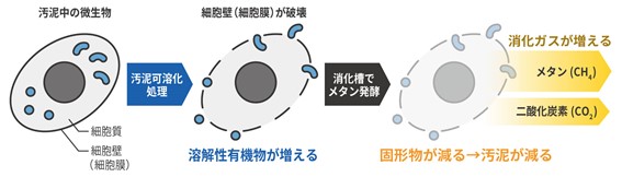 汚泥可溶化の原理（イメージ）