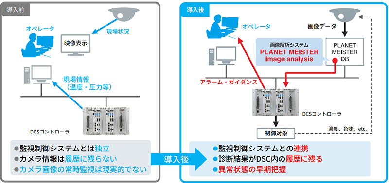 画像解析システム　イメージ
