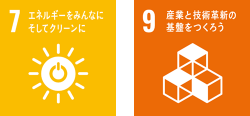 SDGs