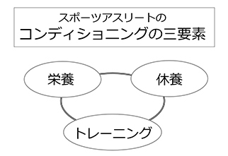 スポーツアスリートのコンディショニングの三要素