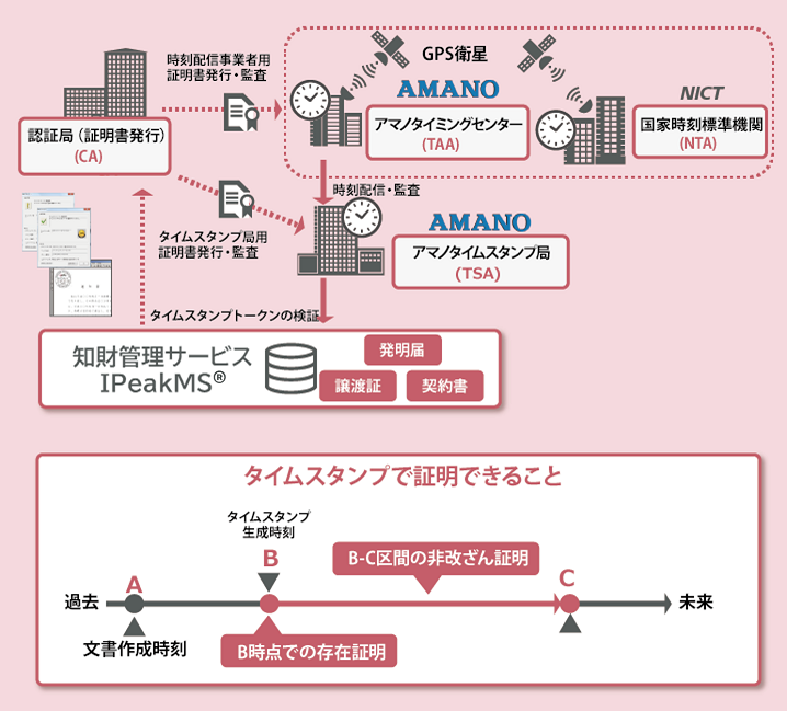 メニュー構成