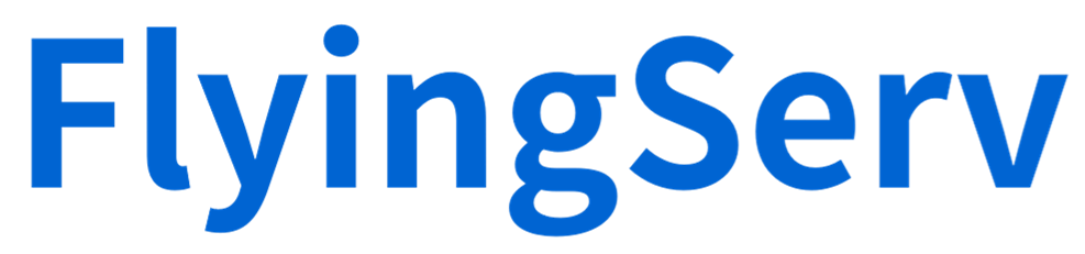 FlyingServサイトロゴ