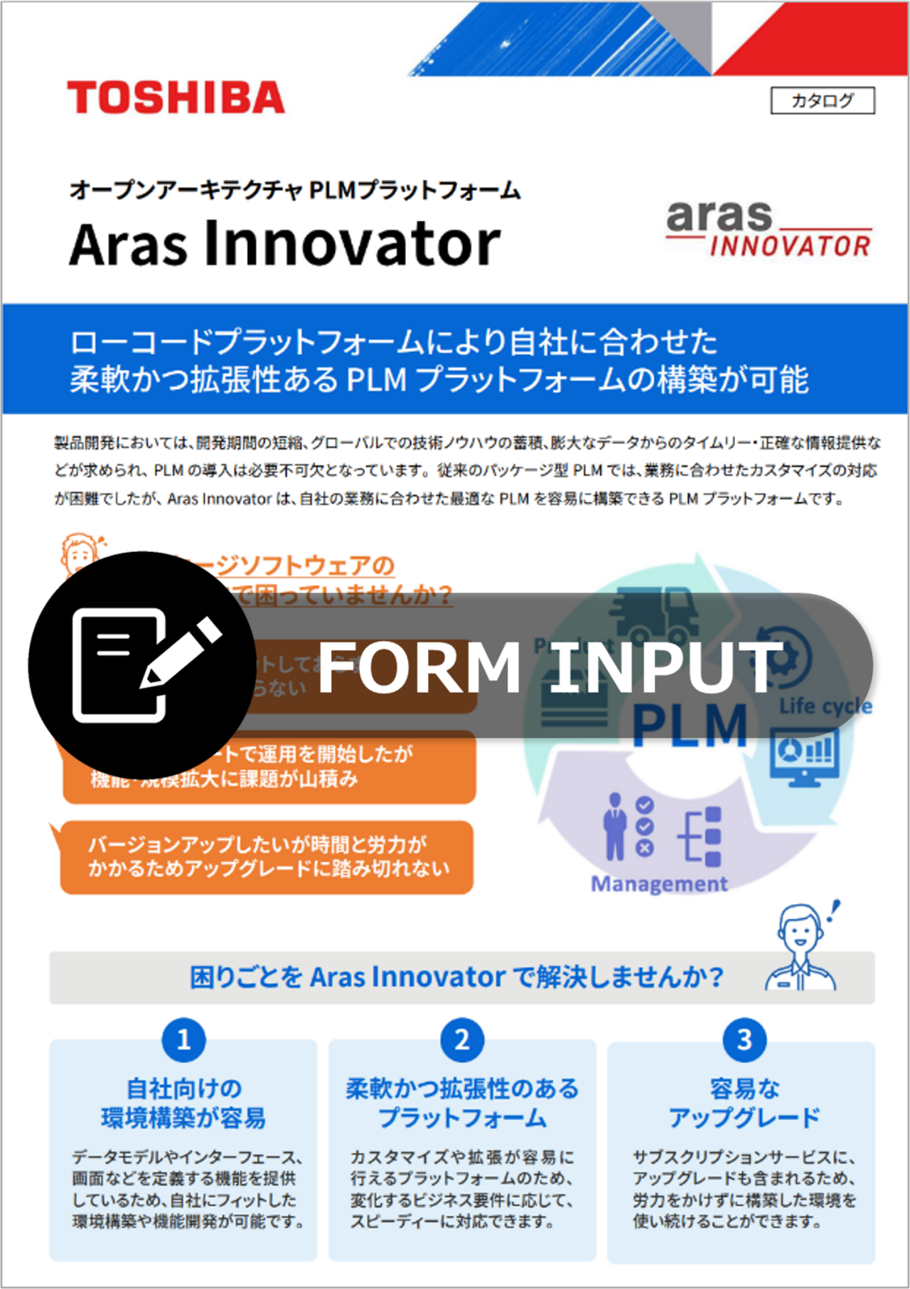 Aras Innovatorリーフレット