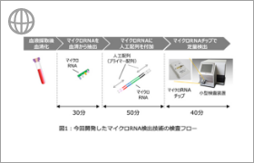 マイクロRNA検出技術