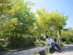 憩いの場