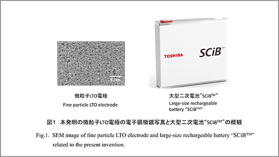 「出入力性能に優れた長寿命大型二次電池の発明」特許第3769291号のイメージ