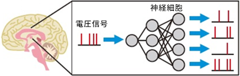 脳型ハードウェアの説明図