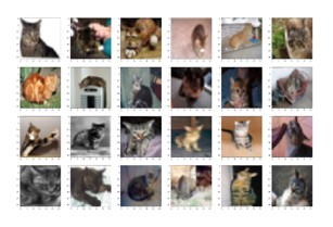 図2 IDFDによる分類結果(*4)の例：様々な背景の猫の画像を同一グルーブに分類