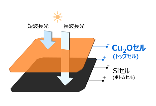 図1： Cu2O/Siタンデム型太陽電池模式図