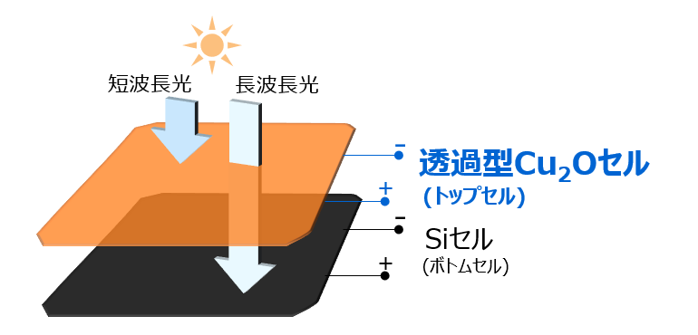 図１：Cu2O/Siタンデム型太陽電池（4端子）の模式図