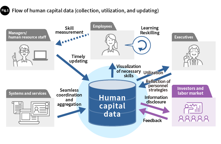 Fig.1 Flow of human capital data (collection, utilization, and updating)