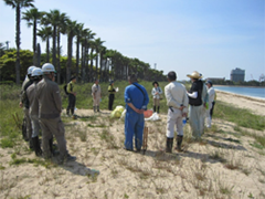 Land maintenance at Odagahama Beach