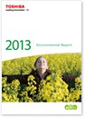 Environmental Report 2013