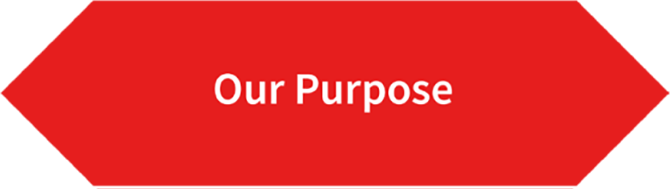 Our Purpose 