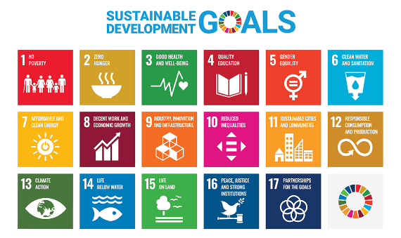 Initiatives for the SDGs