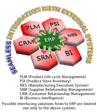 Image of Seamless interfacing between ERP system and External systems