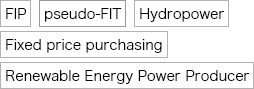 FIP, pseudo-FIT, Hydropower, Fixed price tariff, Renewable Energy Power Producer