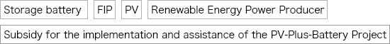 Storage battery, FIP, PV, Renewable Energy Power Producer, Subsidy for the implementation and assistance of the PV-Plus-Battery Project