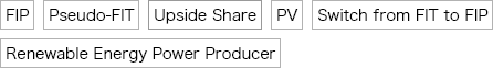 FIP, Pseudo-FIT, Upside Share, PV, Switch from FIT to FIP, Renewable Energy Power Producer