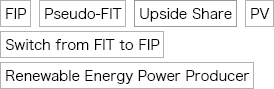 FIP, Pseudo-FIT, Upside Share, PV, Switch from FIT to FIP, Renewable Energy Power Producer