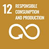 #12 RESPONSIBLE CONSUMPTION & PRODUCTION