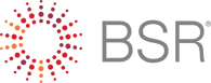 BSR (Business for Social Responsibility) Logo