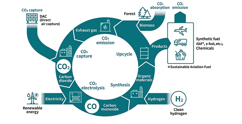 image: Circulation of carbon (carbon recycling)