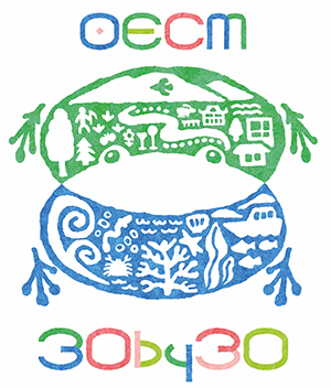 30by30 logo