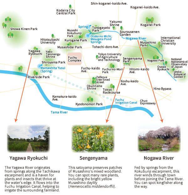 image of the Fuchu area map