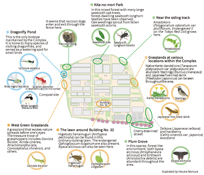Introduction of the Fuchu Complex