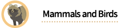 Mammals and Birds