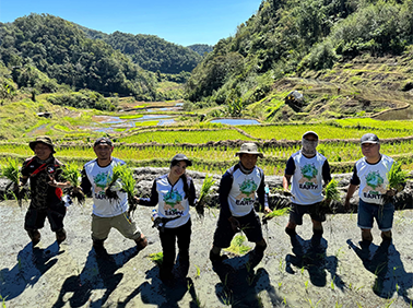 Rice planting