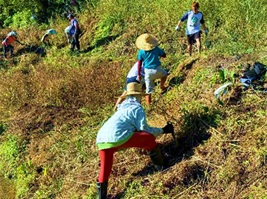 Terraced rice field maintenance
