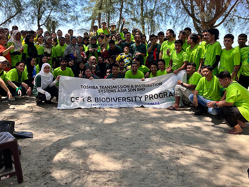 During and after the cleanup