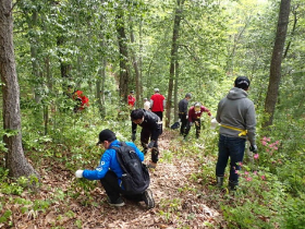 Maintenance work around the trail