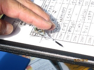 Dragonfly survey