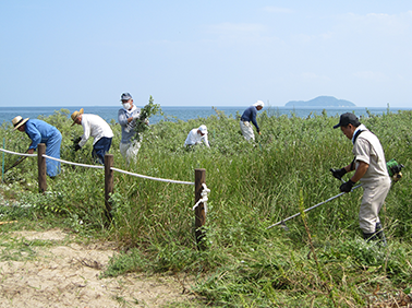 Maintenance Activity