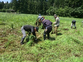 woodland conservation activities ②