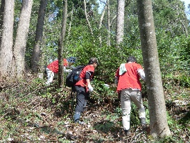 woodland conservation activities ⑥